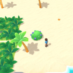 Alone on Island Alone on Island