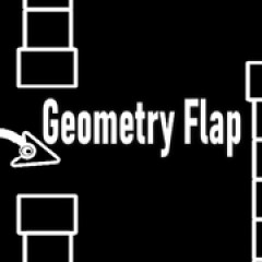 Geometry Flap